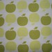 Michael Apple Photo 37