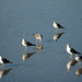Linda Lesser Photo 33