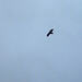Cheryl Hawks Photo 32