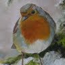 Robin Castle Photo 9