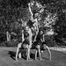 Debbie Moore Photo 41