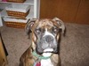 Linda Nieman Photo 16