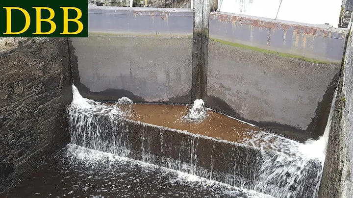 Shannon Lock Photo 18