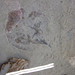 Ray Rounds Photo 22