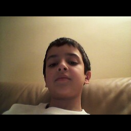 David Aminov Photo 14