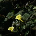 Q Zhang Photo 22
