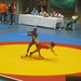 Gabriel Naranjo Photo 36