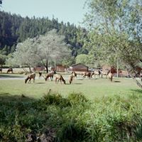 Cliff Olson Photo 2