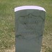Robert Toler Photo 34