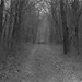 John Larrimer Photo 17