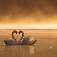 Eman Eid Photo 4