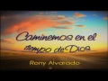 Rony Alvarado Photo 22