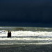 Wade Cox Photo 39