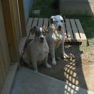 Jim Hines Photo 12