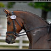Chris Markel Photo 30