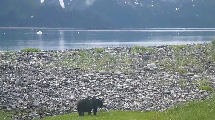 Seward Brown Photo 6