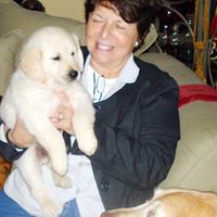 Susan Grimes Photo 4
