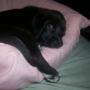 Rebecca Hutchins Photo 27