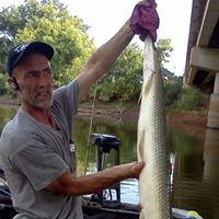 Gerald Norris Photo 1