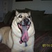 Samantha Stevens Photo 45