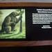 Harlan Little Photo 11
