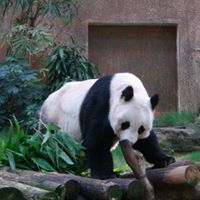 Benjamin Chiang Photo 9