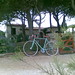 June Bianchi Photo 14