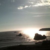 Vicky Taylor Photo 1