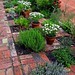 Beverley Smith Photo 37