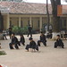 Son Vo Photo 40