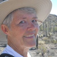 Carol Andrews Photo 3