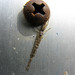 Sherri Dykes Photo 25