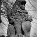 Dave Griffin Photo 38