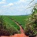 Tierra Story Photo 11