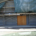 Beverly Thompson Photo 40