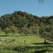 Adelaida Brown Photo 12