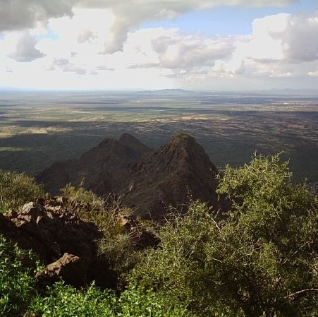 Lance Harding Photo 9