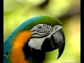 William Angulo Photo 27