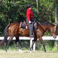 Carol South Photo 4