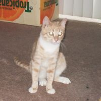 Chester Miller Photo 6