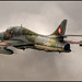 Laurie Hughes Photo 53