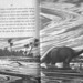 Lois Darling Photo 25