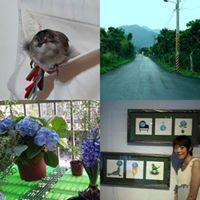 Tracy Wu Photo 5