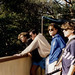 Thomas Balogh Photo 34