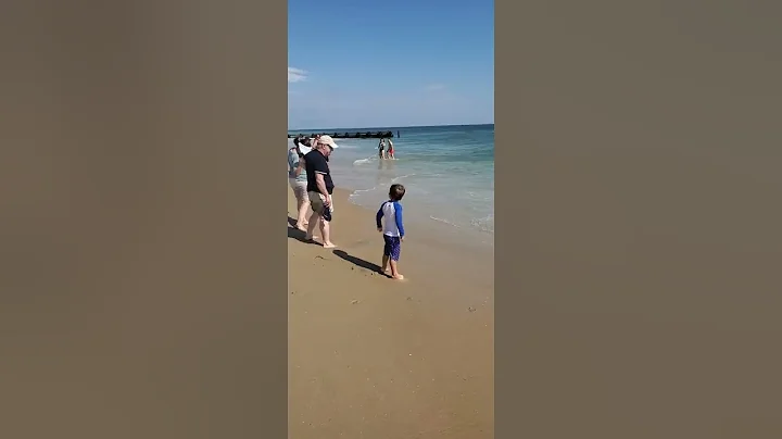 William Beach Photo 31