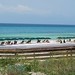 Rosa Beach Photo 29