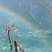 Brian Liss Photo 22