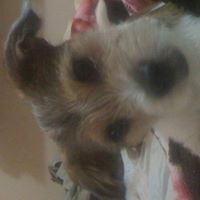 Thomas Guillen Photo 4