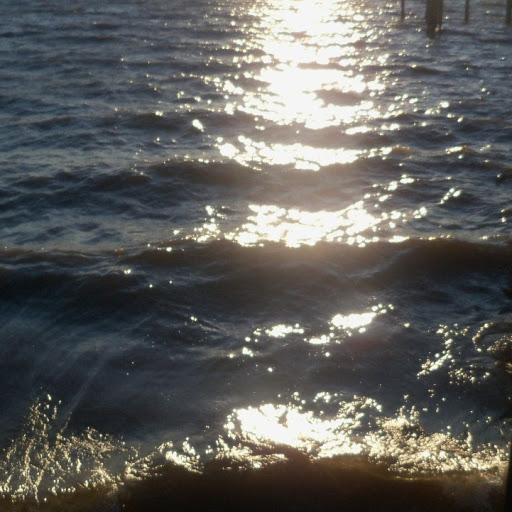 Cynthia Suggs Photo 6