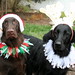 Merry May Photo 30